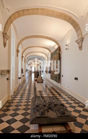 Francia, Pas de Calais, Arras, Museo delle Belle Arti Foto Stock