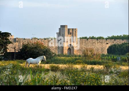 Francia, Gard, Aigues-Mortes, città medievale, bastioni e fortificazioni circondata la città, porta fortificata Foto Stock