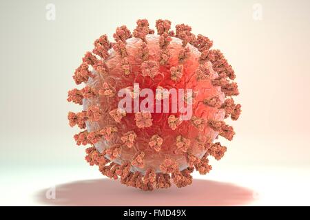 Influenza suina il virus H1N1 Illustrazione che mostra il virus dell'influenza con la superficie dei picchi di glicoproteina emoagglutinina (HA, trimero) e neuraminidasi (NA, tetramero). Emaglutinina prende parte in attacco di un virus respiratorio umano cellule e neuraminidasi partecipare ad un rilascio del virus da una cellula. Foto Stock