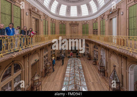 Visita di istruzione di scolari nella Sala Ovale al Teylers Museum di Haarlem, Olanda Settentrionale, Paesi Bassi. Foto Stock