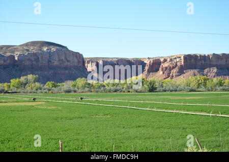 Scena da intorno ai quattro angoli / Monument Valley zone del sud-ovest degli Stati Uniti. Foto Stock