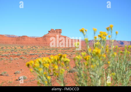 Scena da intorno ai quattro angoli / Monument Valley zone del sud-ovest degli Stati Uniti. Foto Stock