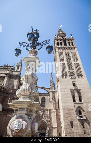 Spagna - il campanile della cattedrale di Siviglia,chiamato Giralda Foto Stock