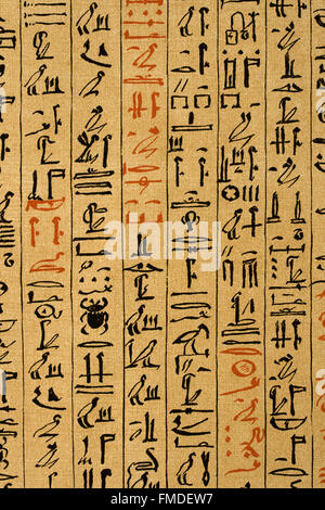 Litografia di geroglifici egiziani su papiro Foto Stock