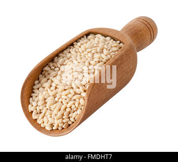 Naturale crudo Orzo perlato in una paletta di legno. L'immagine è tagliata, isolato su uno sfondo bianco. Foto Stock