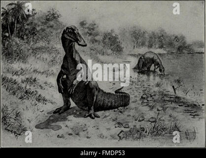 Questa pubblicazione del 1907 fornisce un esame approfondito dei principi della geologia, incluso lo studio della struttura della Terra, dei materiali e dei processi che modellano la sua superficie. Foto Stock