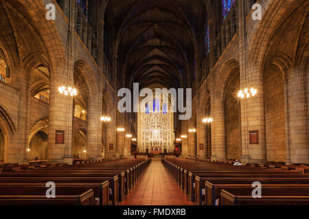 La città di NEW YORK, SEP 16: la Cattedrale di San Patrizio il Sep 16, 2014 a New York City. Foto Stock