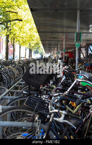 Il parcheggio per le bici vicino alla Stazione Centrale di Amsterdam Centraal, Paesi Bassi Foto Stock