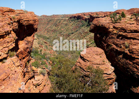 Kings Canyon - Territorio del Nord - Australia Foto Stock