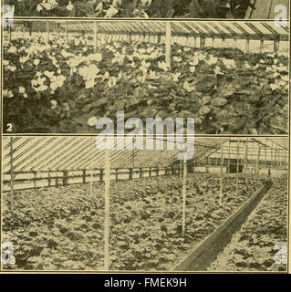 Propagazione nel vegetale; serra e vivaio pratica (1916)