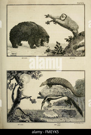 Il regno animale, o sistema zoologico, del celebre Sir Charles LinnC3A6us (Pl. 102) Foto Stock