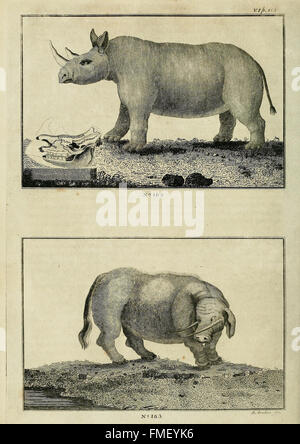 Il regno animale, o sistema zoologico, del celebre Sir Charles LinnC3A6us (Pl. 113) Foto Stock