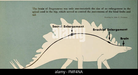 Il libro di dinosauro - la sentenza di rettili e i loro parenti (1951) Foto Stock