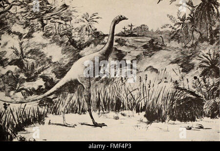 Il libro di dinosauro - la sentenza di rettili e i loro parenti (1951) Foto Stock