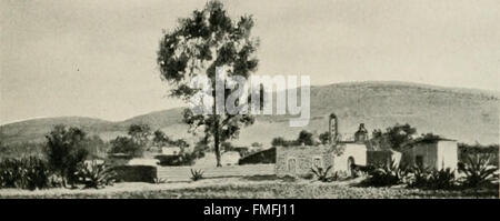 Due bird-amanti in Messico (1905) Foto Stock