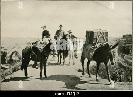 Due bird-amanti in Messico (1905) Foto Stock