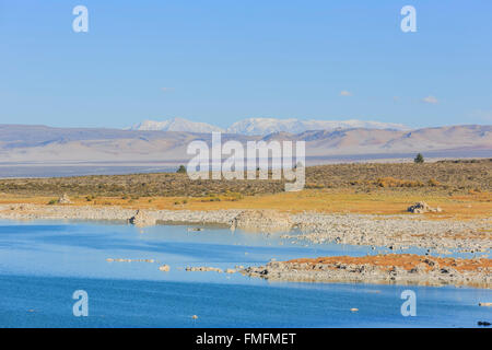 Bellissimo il tofu al Lago Mono in California Foto Stock