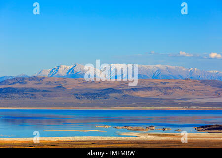 Bellissimo il tofu al Lago Mono in California Foto Stock