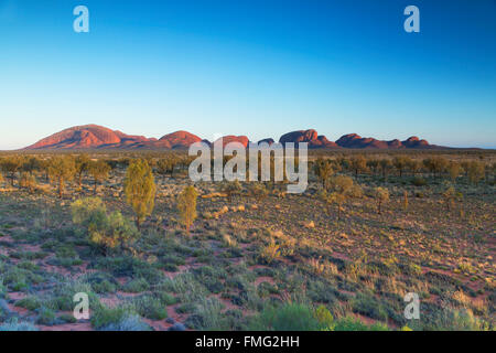 Kata Tjuta / l'Olgas (Patrimonio Mondiale dell'UNESCO), Uluru-Kata Tjuta National Park, il Territorio del Nord, l'Australia Foto Stock