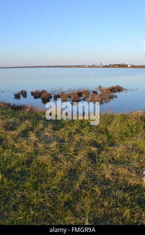 Twilight riflessione sull acqua, saltern riserva naturale, Cervia, Ravenna, Italia Foto Stock