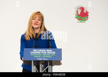 MEP Kay Swinburne parla durante il Welsh congresso del Partito Conservatore 2016 Foto Stock