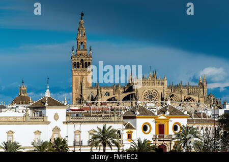 Cattedrale di Sevilla e Giralda torre campanaria, Siviglia, Andalusia, Spagna Foto Stock