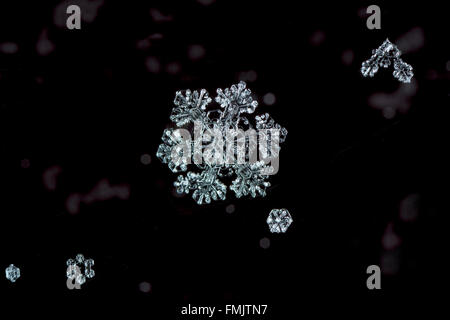 Fiocchi di neve naturale, photo real fiocchi di neve durante una nevicata, in condizioni naturali a bassa temperatura Foto Stock