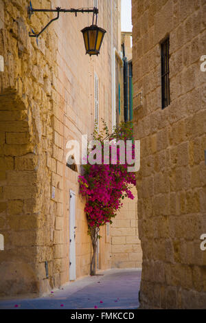 Tipica stradina nella città silenziosa di Mdina Malta Foto Stock