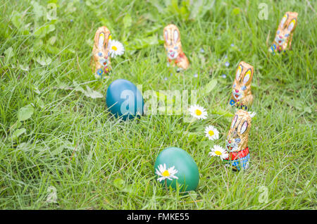 Poco avvolto coniglietti di cioccolato con le uova di Pasqua e fiori a margherita in erba Foto Stock