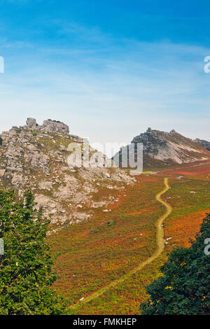 La bracken comincia a girare un marrone autunnali nella valle di rocce nr Lynton, North Devon, Inghilterra, Regno Unito Foto Stock