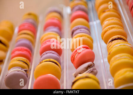 Fila di diverso colore dei macarons nella luce naturale Foto Stock