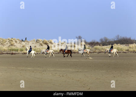 Le Grau Du Roi, Languedoc-Roussillon, Francia. Xii Marzo 2016. Passeggiate a cavallo sulla spiaggia Espiguette nella Camargue Gard. Credito: Digitalman/Alamy Live News Foto Stock