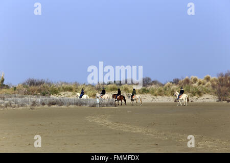 Le Grau Du Roi, Languedoc-Roussillon, Francia. Xii Marzo 2016. Passeggiate a cavallo sulla spiaggia Espiguette nella Camargue Gard. Credito: Digitalman/Alamy Live News Foto Stock