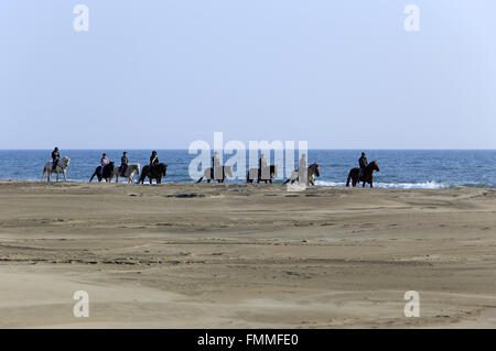 Le Grau Du Roi, Languedoc-Roussillon, Francia. Xii Marzo 2016. Passeggiate a cavallo sulla spiaggia Espiguette nella Camargue Gard. Credito: Digitalman/Alamy Live News Foto Stock