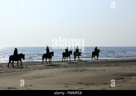 Le Grau Du Roi, Languedoc-Roussillon, Francia. Xii Marzo 2016. Passeggiate a cavallo sulla spiaggia Espiguette nella Camargue Gard. Credito: Digitalman/Alamy Live News Foto Stock