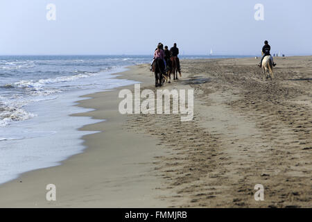 Le Grau Du Roi, Languedoc-Roussillon, Francia. Xii Marzo 2016. Passeggiate a cavallo sulla spiaggia Espiguette nella Camargue Gard. Credito: Digitalman/Alamy Live News Foto Stock