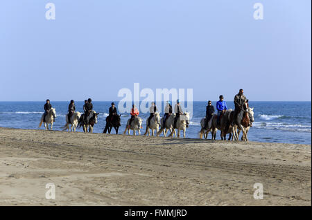 Le Grau Du Roi, Languedoc-Roussillon, Francia. Xii Marzo 2016. Passeggiate a cavallo sulla spiaggia Espiguette nella Camargue Gard. Credito: Digitalman/Alamy Live News Foto Stock