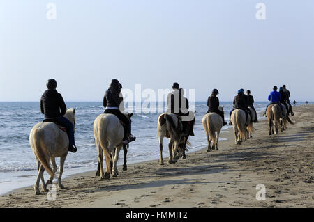 Le Grau Du Roi, Languedoc-Roussillon, Francia. Xii Marzo 2016. Passeggiate a cavallo sulla spiaggia Espiguette nella Camargue Gard. Credito: Digitalman/Alamy Live News Foto Stock