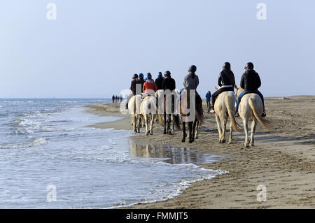 Le Grau Du Roi, Languedoc-Roussillon, Francia. Xii Marzo 2016. Passeggiate a cavallo sulla spiaggia Espiguette nella Camargue Gard. Credito: Digitalman/Alamy Live News Foto Stock