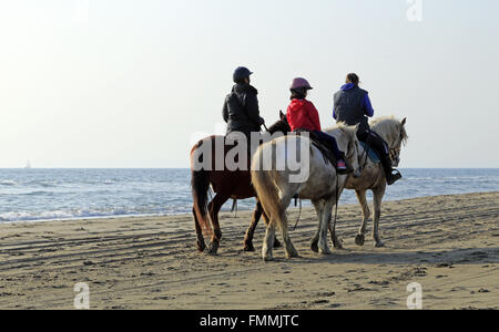 Le Grau Du Roi, Languedoc-Roussillon, Francia. Xii Marzo 2016. Passeggiate a cavallo sulla spiaggia Espiguette nella Camargue Gard. Credito: Digitalman/Alamy Live News Foto Stock