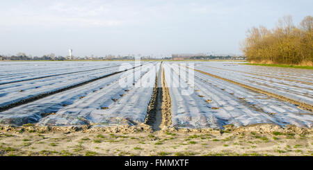 pacciame di plastica Foto Stock
