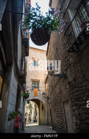 Il quartiere Gotico, Ciutat Vella, Barcelona, Spagna Foto Stock