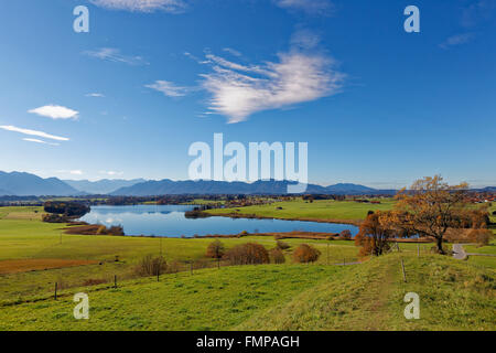 Riegsee, Pfaffenwinkel regione, Alta Baviera, Baviera, Germania Foto Stock