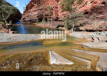 Hamersley Gorge, Karijini National Park, Pilbara, Western Australia, WA, Australia Foto Stock