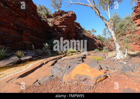 Kalamina Gorge, Karijini National Park, Pilbara, Western Australia, WA, Australia Foto Stock