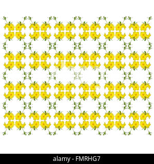 L'Allamanda cathartica seamless sfondo pattern Foto Stock