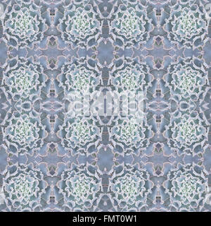 Piante succulente pattern seamless sfondo Foto Stock