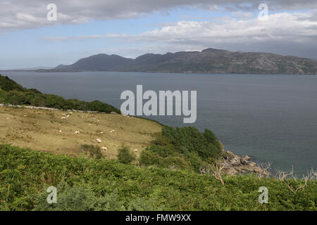 Vista su Lough Swilly,County Donegal, Irlanda da Portsalon. Foto Stock