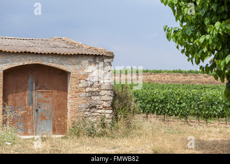 Vigneti e agricoltura casa Vilafranca del Penedès,Catalogna,Spagna. Foto Stock