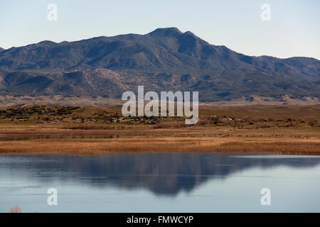 Henshaw del lago, CALIFORNIA, STATI UNITI D'AMERICA Foto Stock